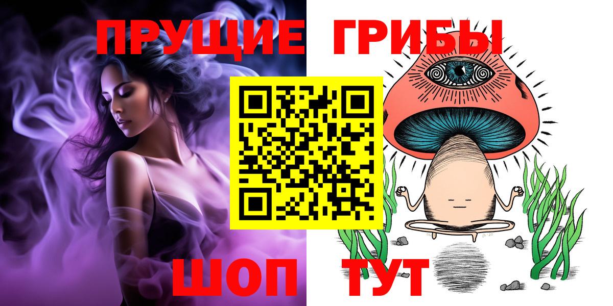Псилоцибиновые грибы Psilocybe Ливны